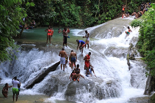 Negril Excursion - Image 2