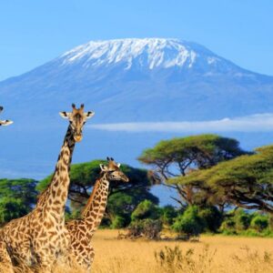 Kenya