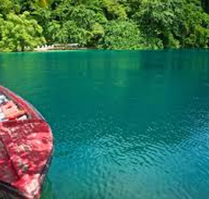 The Caribbean