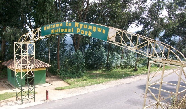 2-Day Exploration of Nyungwe National Park, Rwanda - Image 2