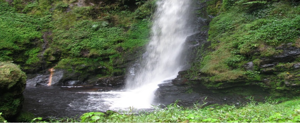 2-Day Exploration of Nyungwe National Park, Rwanda - Image 5