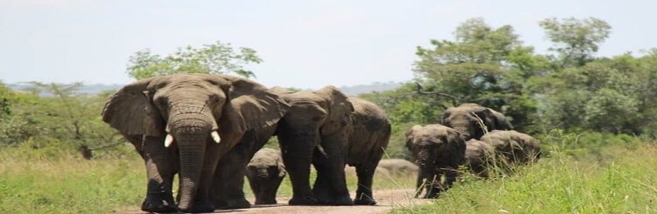 5 Days in Kigali City and Wildlife experience - Image 4