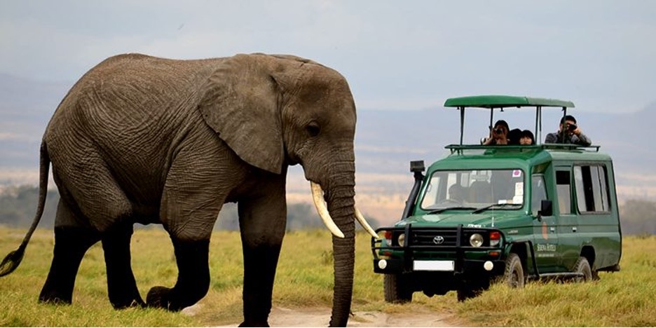7-Day Rwanda Visit and Gorilla Trekking - Image 5