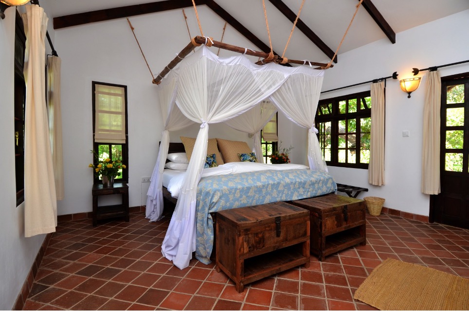 5-Day Kili-Base Cycling Safari- Circumnavigate the Mountain - Image 6