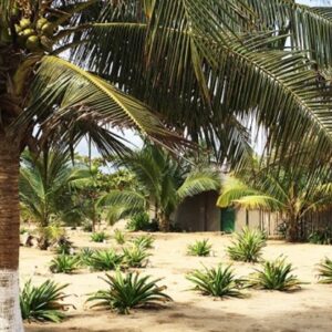 10-Day Coastal Cycling Tour in Ghana