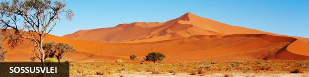 10-Day Cycling Adventure in Namibia - Image 4