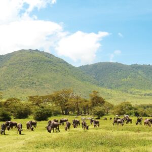 Tanzania Cycling