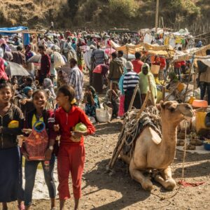10-Day Trip to Northern Ethiopia