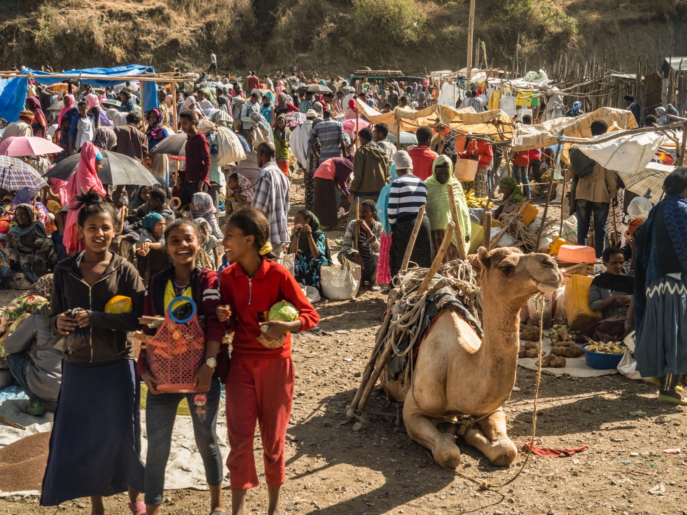 10-Day Trip to Northern Ethiopia