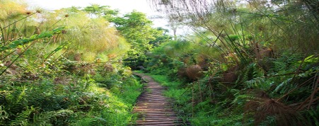 12-Day Bike Tour in Kabarole and Sempaya Hot Springs - Image 4