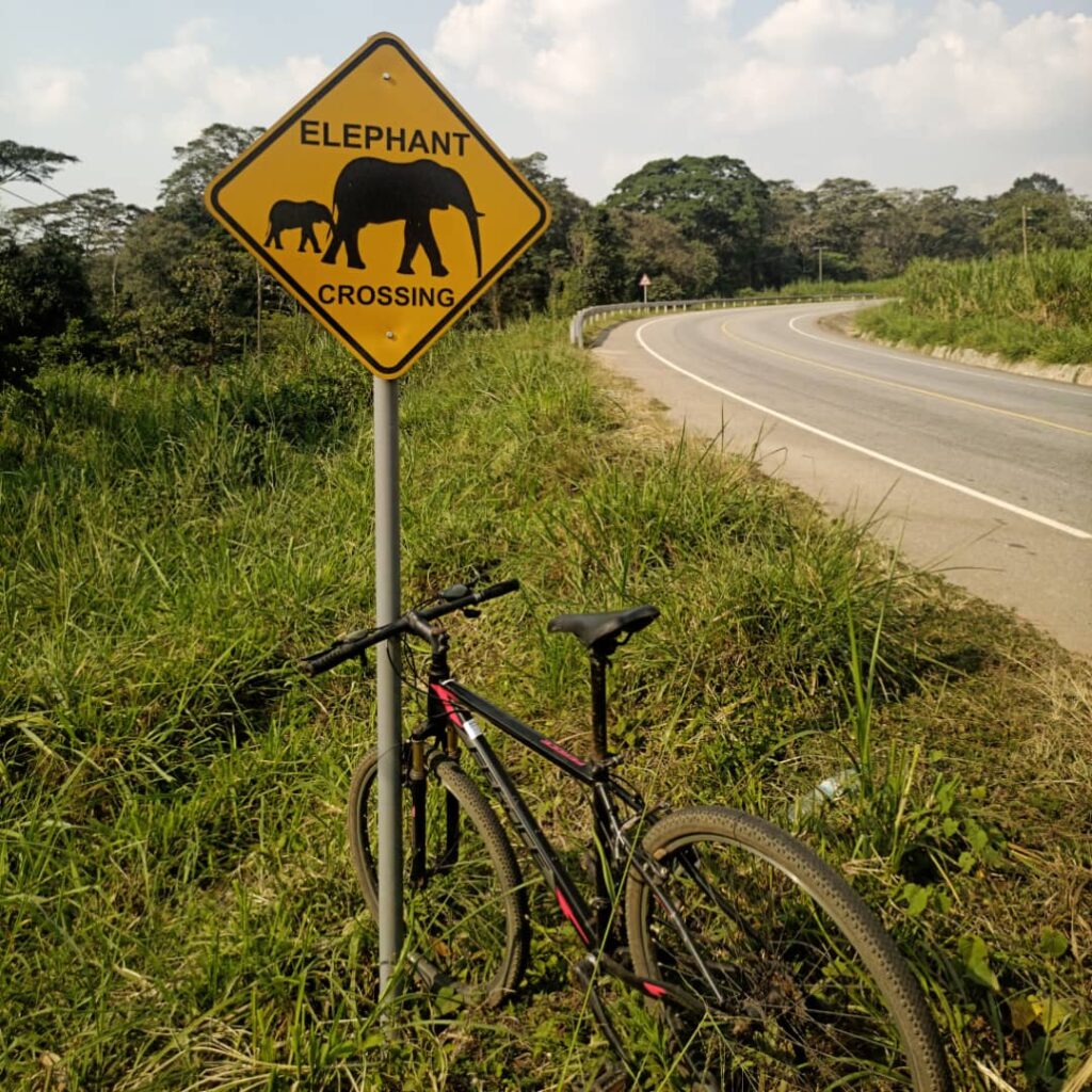 A road in Uganda with an elephant crossing road sign