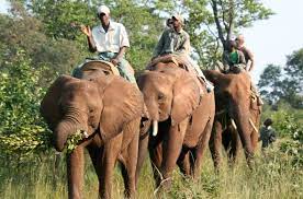 Victoria Falls 2 Nights- All Inclusive - Image 4