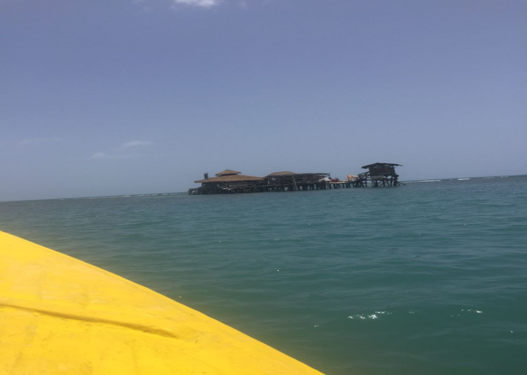 7-Day Trip to Negril - Image 13