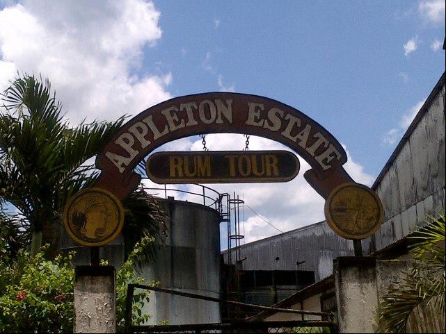 7-Day Trip to Negril - Image 5