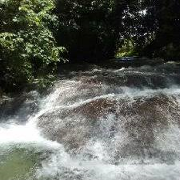 7-Day Trip to Negril - Image 6