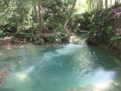 7-Day Trip to Negril - Image 7