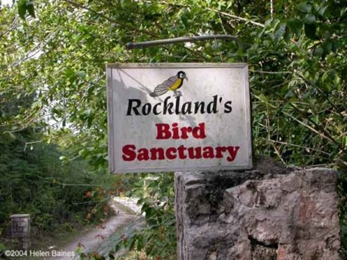 7-Day Trip to Montego-Bay - Image 5