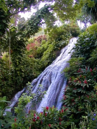 7-Day Trip to Kingston - Image 6