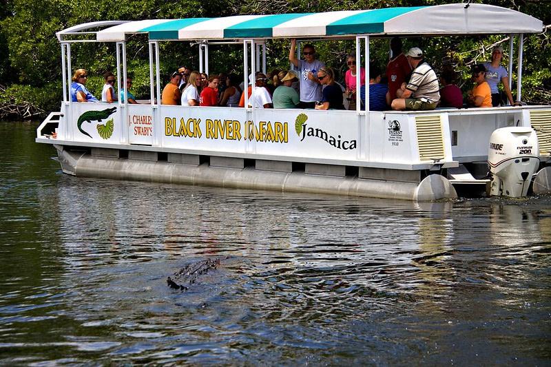 7-Day Trip to Negril - Image 9